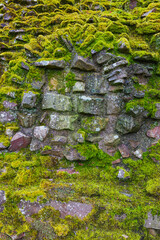 Old green mossy wall stones close up view