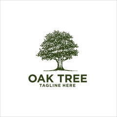 oak tree logo design silhouette vector - obrazy, fototapety, plakaty
