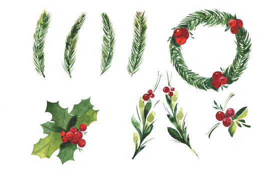 Watercolor Christmas set wih spruce branches, mistletoe branches, flower and berries on a white background isolated