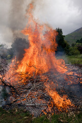 Fire and flames - a heap of dry vegetation burns rapidly on a cloudy day.
