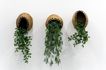 Fotografía de detalles