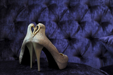 Women's wedding shoes  on the special day