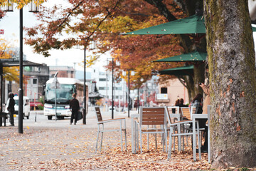 秋のオープンテラスカフェ