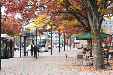 秋の落葉の道とカフェ