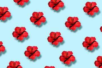 Top view of a trendy pop art pattern of a hibiscus flower. Flat lay