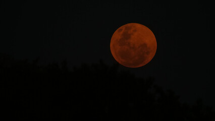 Fototapeta na wymiar Yellow full moon at night