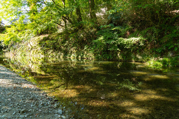 shallow stream is flow in countryside of Fukuoka prefecture, JAPAN.
