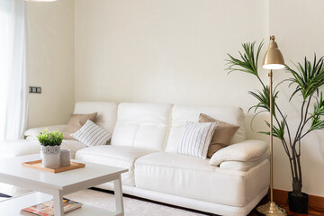 Fotografía de detalles