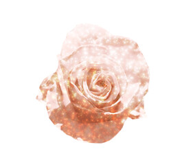 Double exposure made with rose and glitter, background in vintage colors on white background