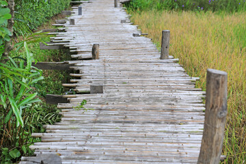 Fototapeta premium Wooden bamboo bridge on rice paddy field.