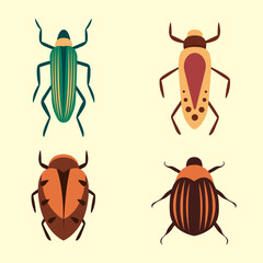 Bugs vector icons for web design isolated on white background. Bug and Insect set in cartoon style.