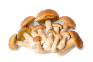 Fototapeta premium Group of brown cap Boletus Edulis isolated on white background. Edible mushrooms in the kitchen. Nobody