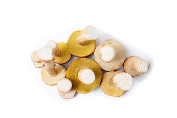 Group of brown cap Boletus Edulis isolated on white background. Edible mushrooms in the kitchen. Nobody