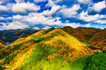 秋の里山の空撮風景が色とりどりの紅葉で美しい