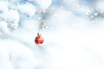 Red ball hangs on a branch of a Christmas tree. Photo for greeting cards. Christmas mood. White...