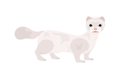 White mink. Mink in a flat style. Isolated, vector.