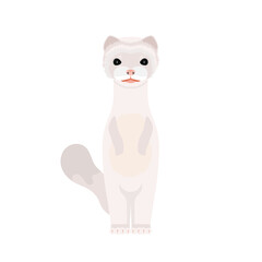 Obraz premium White mink. Mink in a flat style. Isolated, vector.