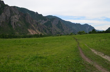 Fototapeta premium landscape in the mountains