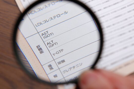 健康診断書の肝機能の欄