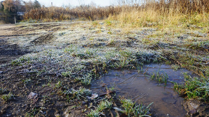 Countryside view of frozen green grass and puddle. Winter. - 391780759