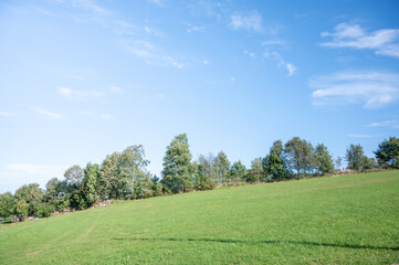 concept it gets better, a meadow rises steeply with trees in the background and blue sky