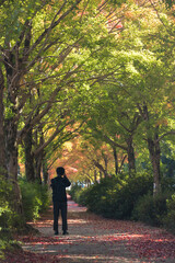秋の公園で紅葉を撮影している若い男性の姿