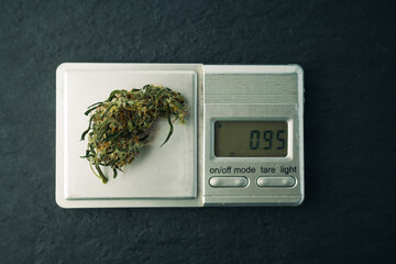 A bunch of marijuana is weighed on a small scale.