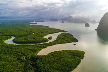 Aerial view of mangrove forest with sea coastline