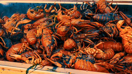 Boiled crayfish. Street food festival