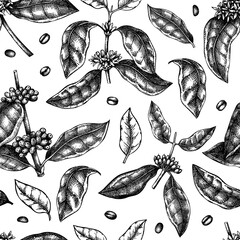 Hand skizzierte Kaffeepflanze nahtlose Muster. Vektorhintergrund mit handgezeichneten Blättern, Blumen, Bohnen und Früchten. Für Verpackungen, Geschenkpapier, Marken, Stoffe.