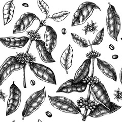 Hand sketched coffee seamless pattern. Vector background with hand-drawn coffee plants, leaves, flowers, beans, and fruit illustrations. For packaging, wrapping paper, brands, fabrics.