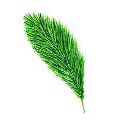 Image of green spruce twig.Watercolor hand drawn illustration,botanical coniferous elements,isolated on white background.For seasonal postcard,stickers,printables,paper products,scrapbooking,patterns.