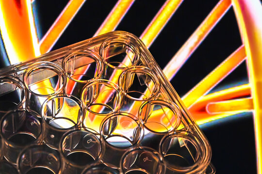 Achievements of modern biological science.