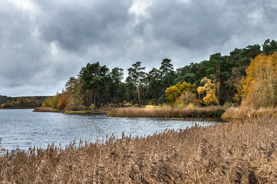 Frensham Ponds