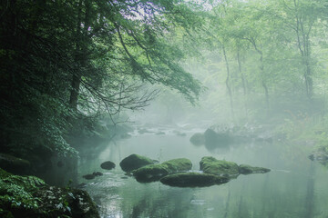 Green mossy foggy mysterious pond with rocks and trees 