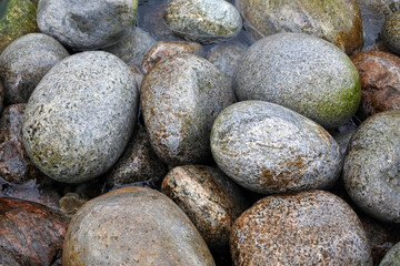 Fototapeta na wymiar Rounded boulders in sea water. Background of gray round stones. Textured minerals of the North of Russia.