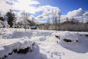 Winter landscape with forest trees and snow covered field