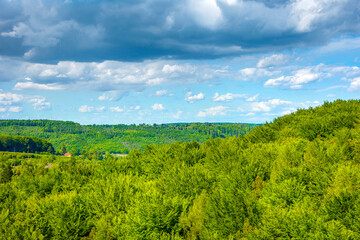 Fototapeta premium Beautiful rural landscape green trees on the hills