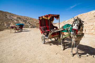 Horse carts for excursions in The Siq Canyon, Petra, Jordan