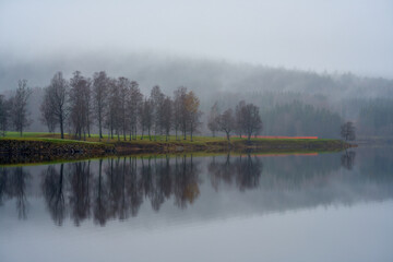 In the misty morning. 