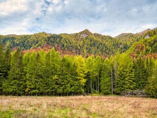 Naklejka premium Colorful autumn landscape in the Carpathian Mountains, Romania. Autumn forest scenery