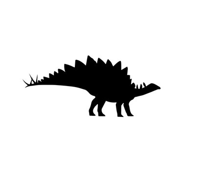 silhouette of a Stegosaurus. Vector illustration