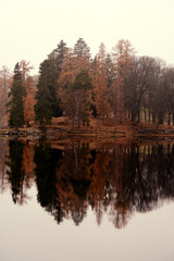 In the misty morning. 