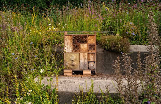 View of wooden insect house or bug hotel on the lawn in the city. Constructed from environmentally friendly materials for beneficial insects.