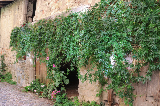 Auvergne-Rh&ocirc;ne-Alpes - Ain - P&eacute;rouges - Village m&eacute;di&eacute;val - Reste d'un ancien grenier &agrave; sel