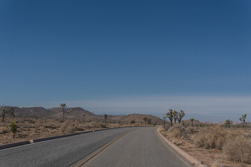 Twentynine Palms Highway, otherwise known as route 62, is the main road that runs parallel to...
