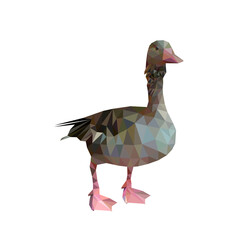vector image. goose is standing. polygonal animal