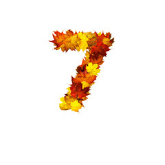 Colorful autumn leaves isolated on white background as number seven.