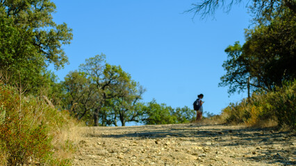 Hiking girl searching for the route on a forest road