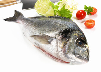Fresh Grey Gilthead Seabream on white Background - Isolated